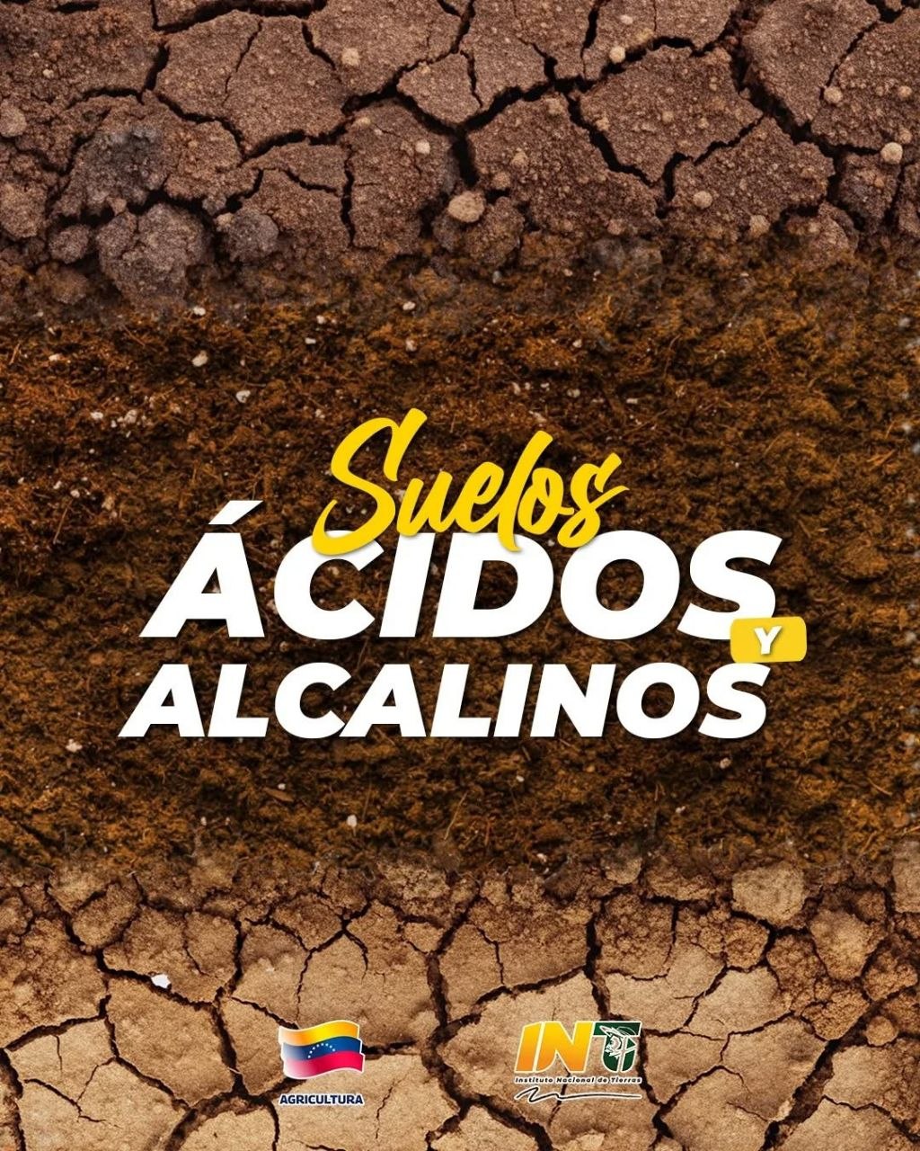 LANSAR revoluciona la productividad agrícola con análisis de pH de precisión