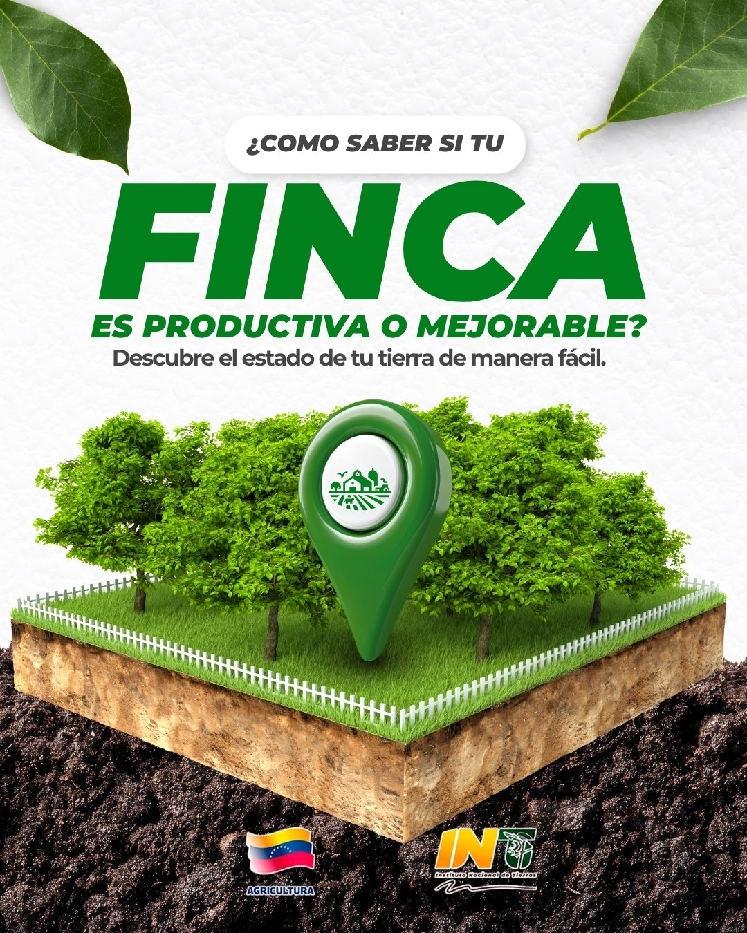 ¿Tu tierra rinde al máximo? El INTi te enseña a diagnosticar la capacidad productiva de tu finca