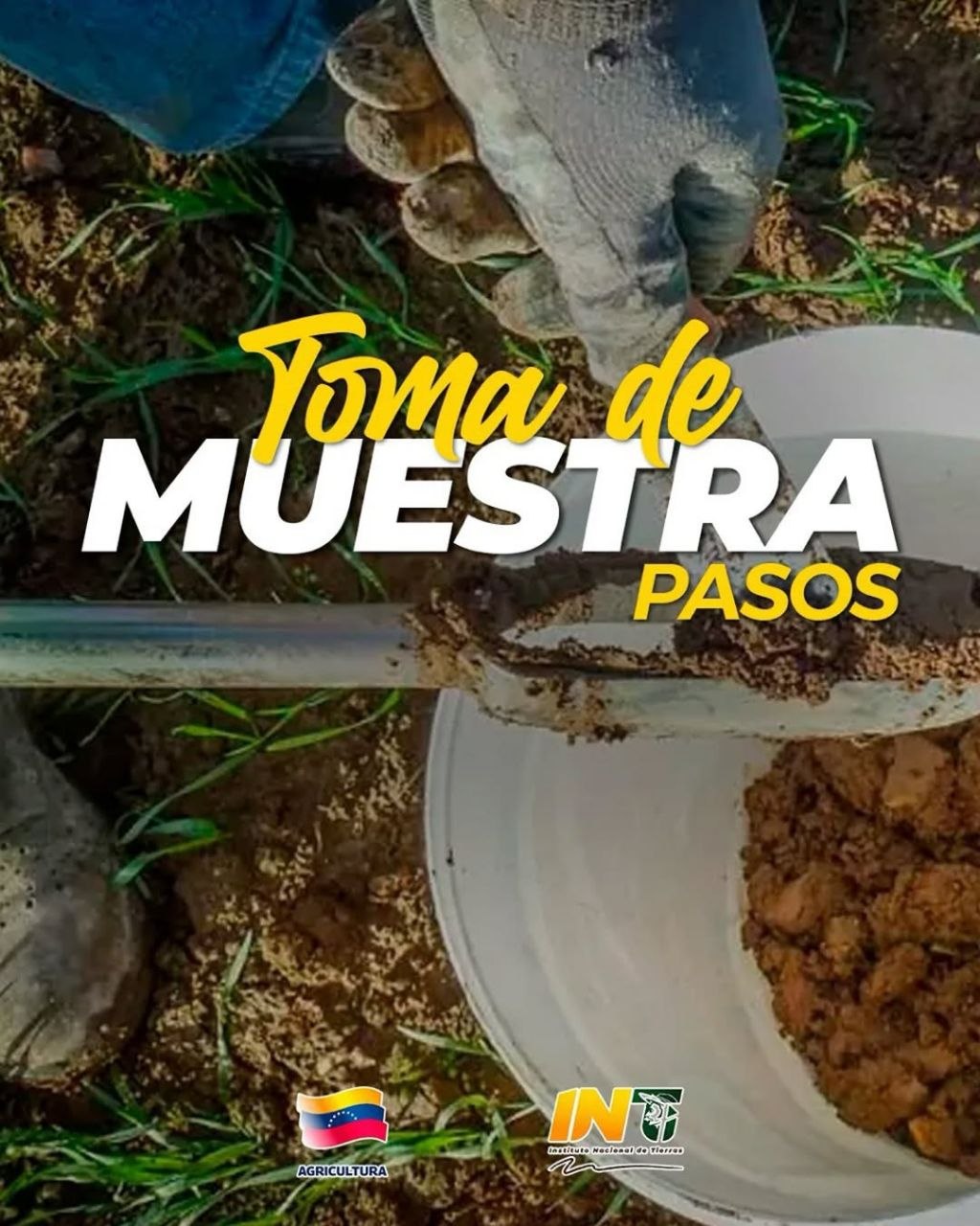 El éxito de la cosecha nace en el análisis: Optimizamos la producción agrícola con muestreos de suelo de alta precisión