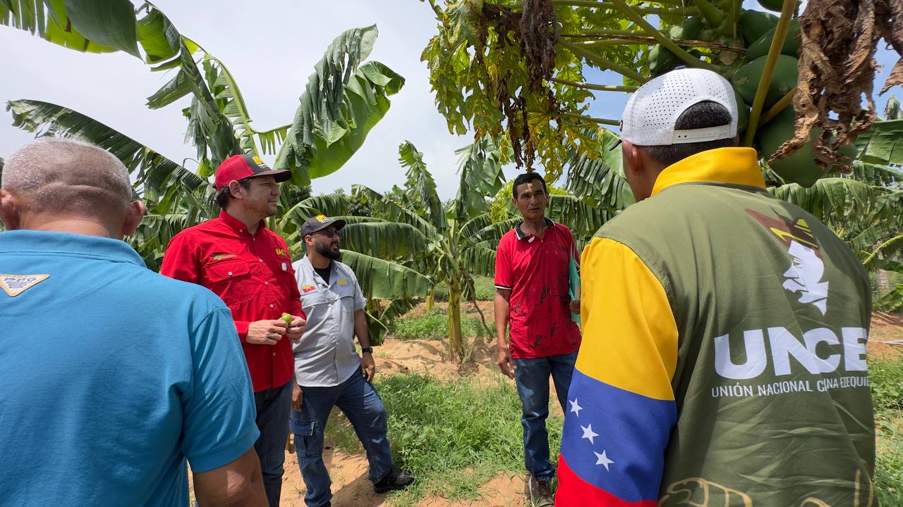 De la oficina al surco: Plan "Menos escritorio, más territorio" consolida la producción y titularidad de nuestras tierras