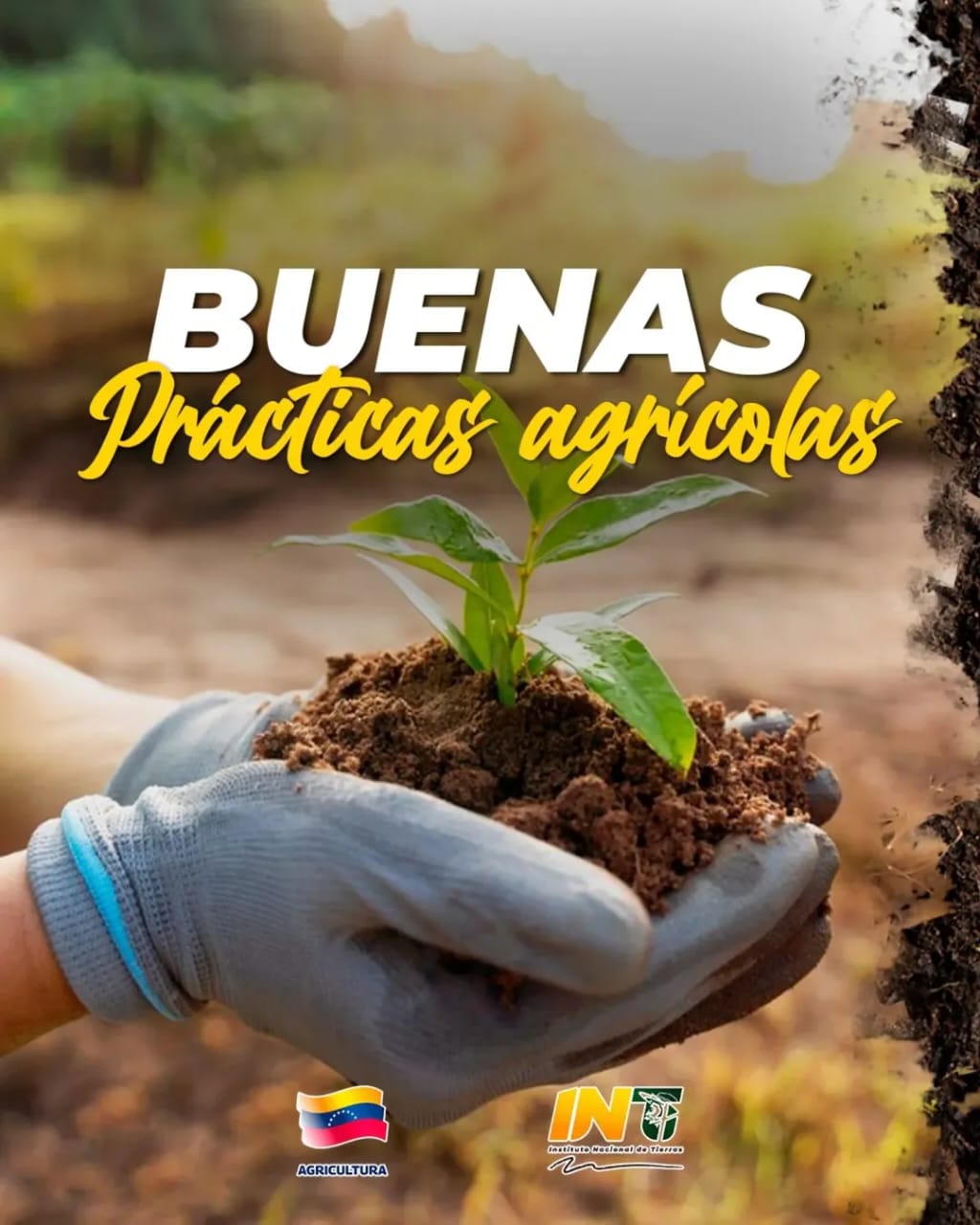 LANSAR: El camino hacia una agricultura de alto rendimiento y respeto ambiental